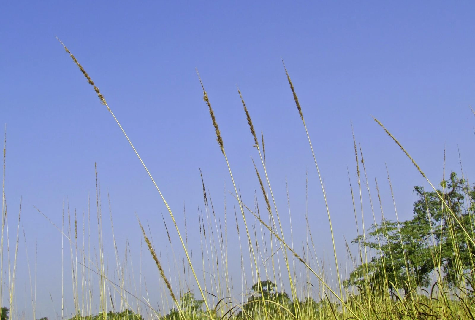 Agaratoli Eastern Range