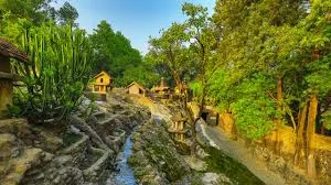 Rock Garden