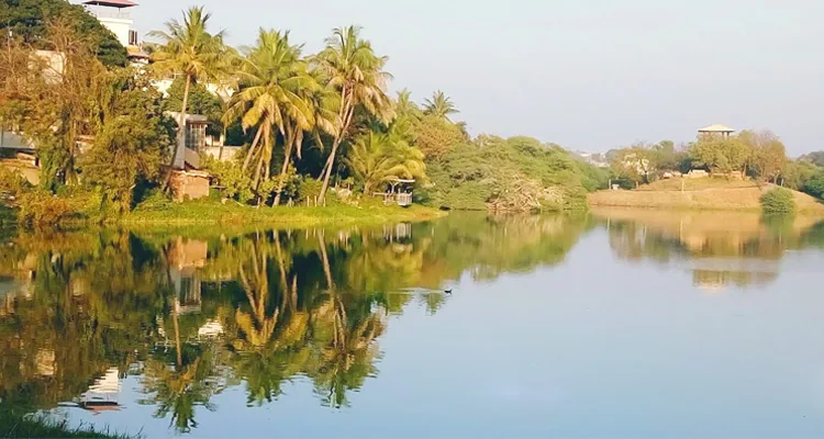 Salim Ali Lake