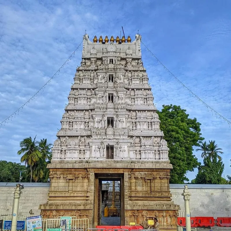 Sri Kalyana Venkateswara Temple, Srinivasa Mangapuram
