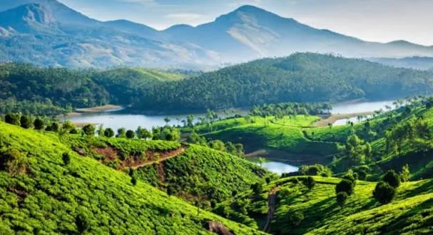 Murikkady