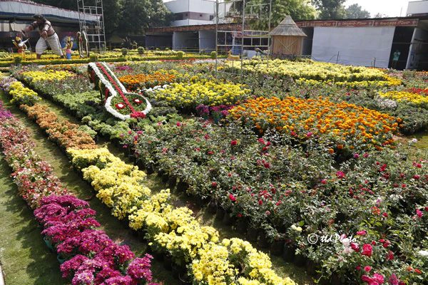 TTD Gardens