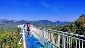 Glass Bridge / Coorg's Coffee Island