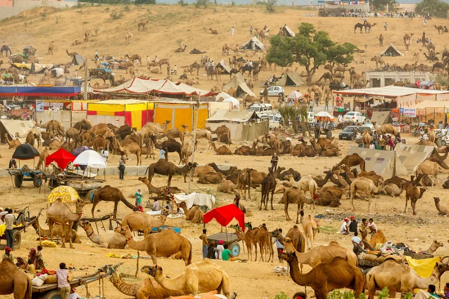 Pushkar Camel Fair Grounds