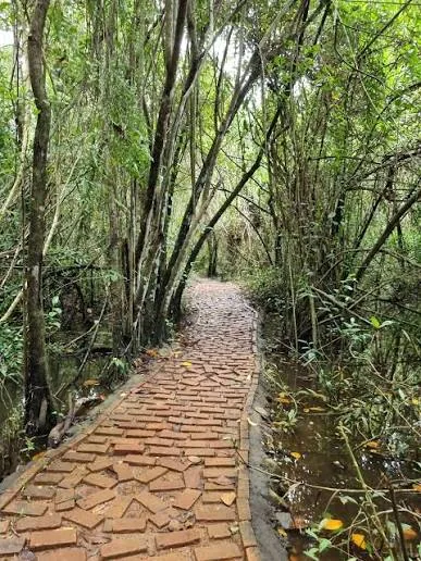 Kumarakom Bird Sanctuary