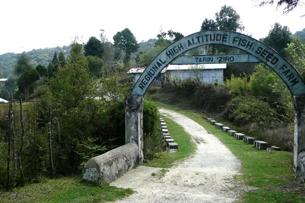 Tarin Fish Farm
