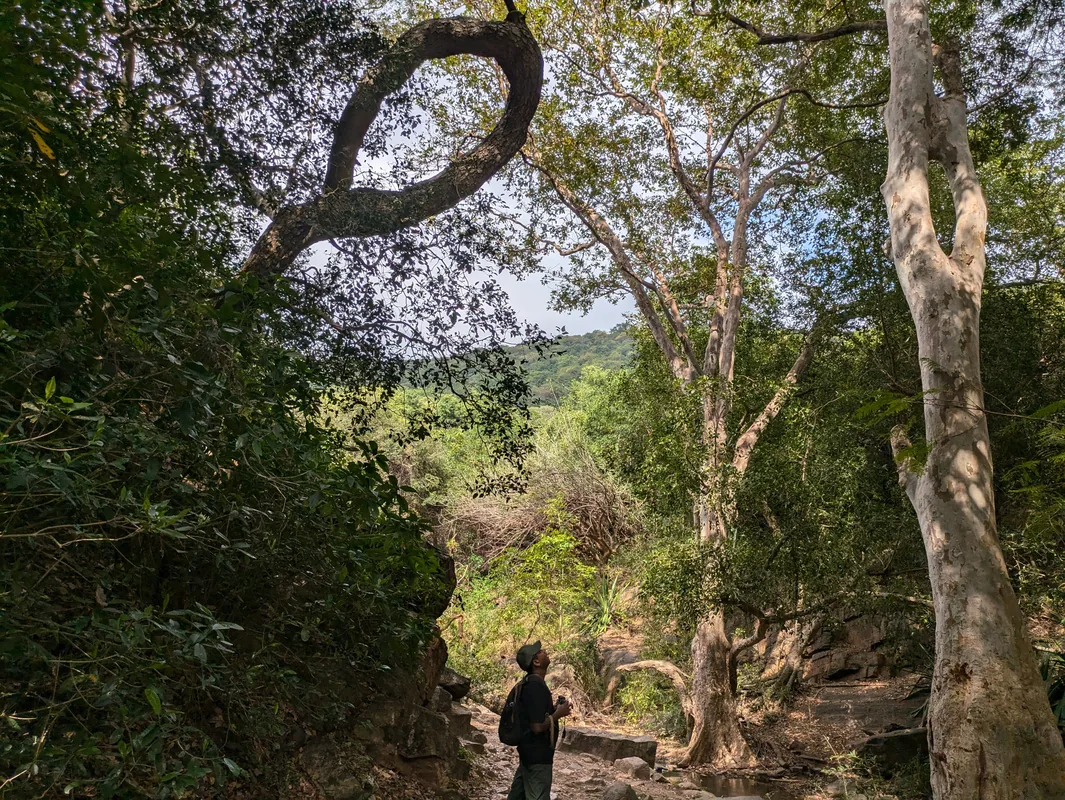 Alagarkoil Forest and Nature Area