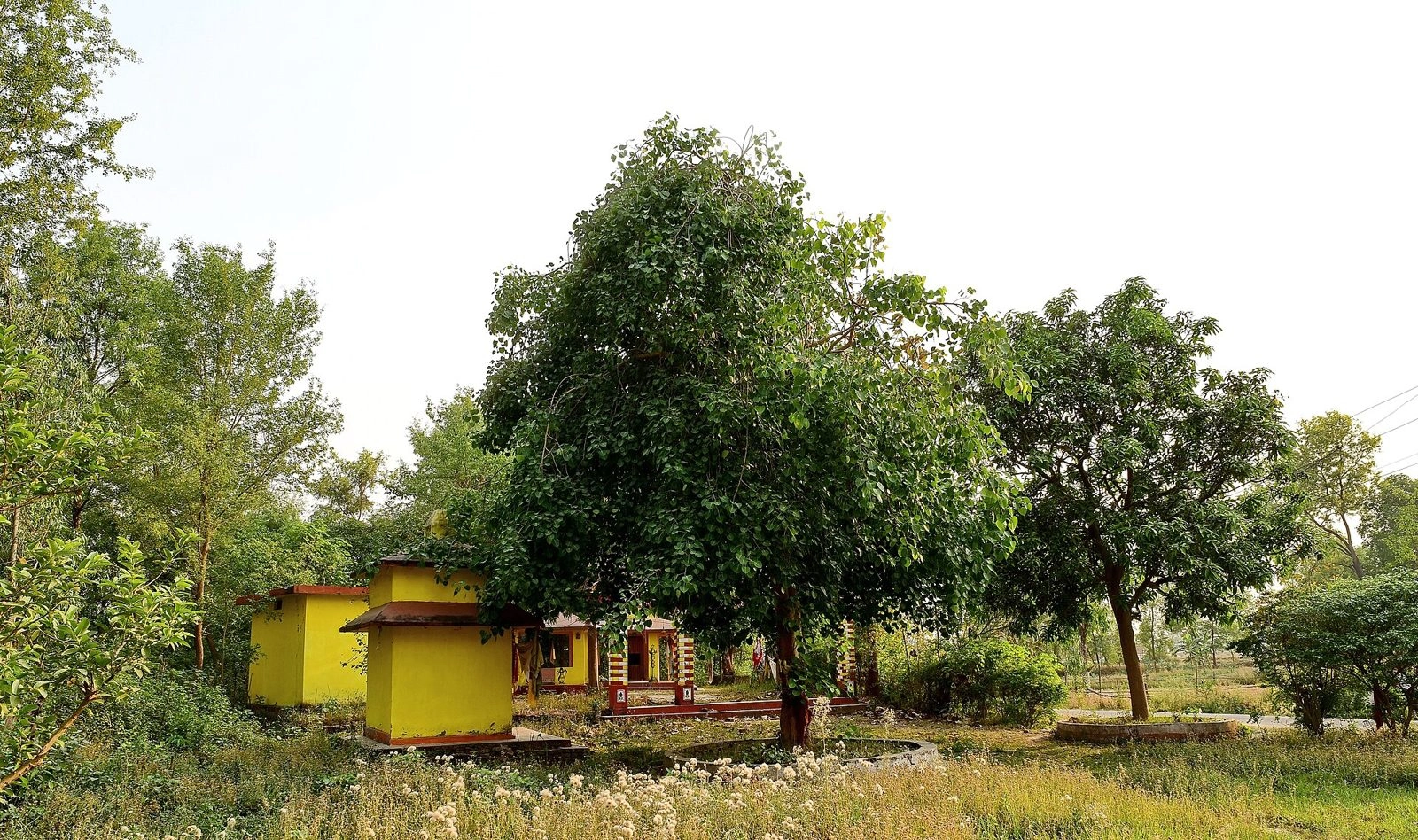 Mahendranagar