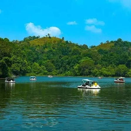 Pookode Lake