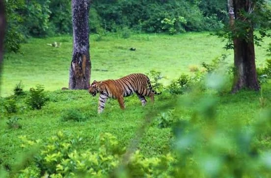 Periyar Tiger Reserve