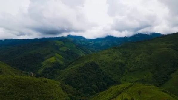 Neelimala View Point