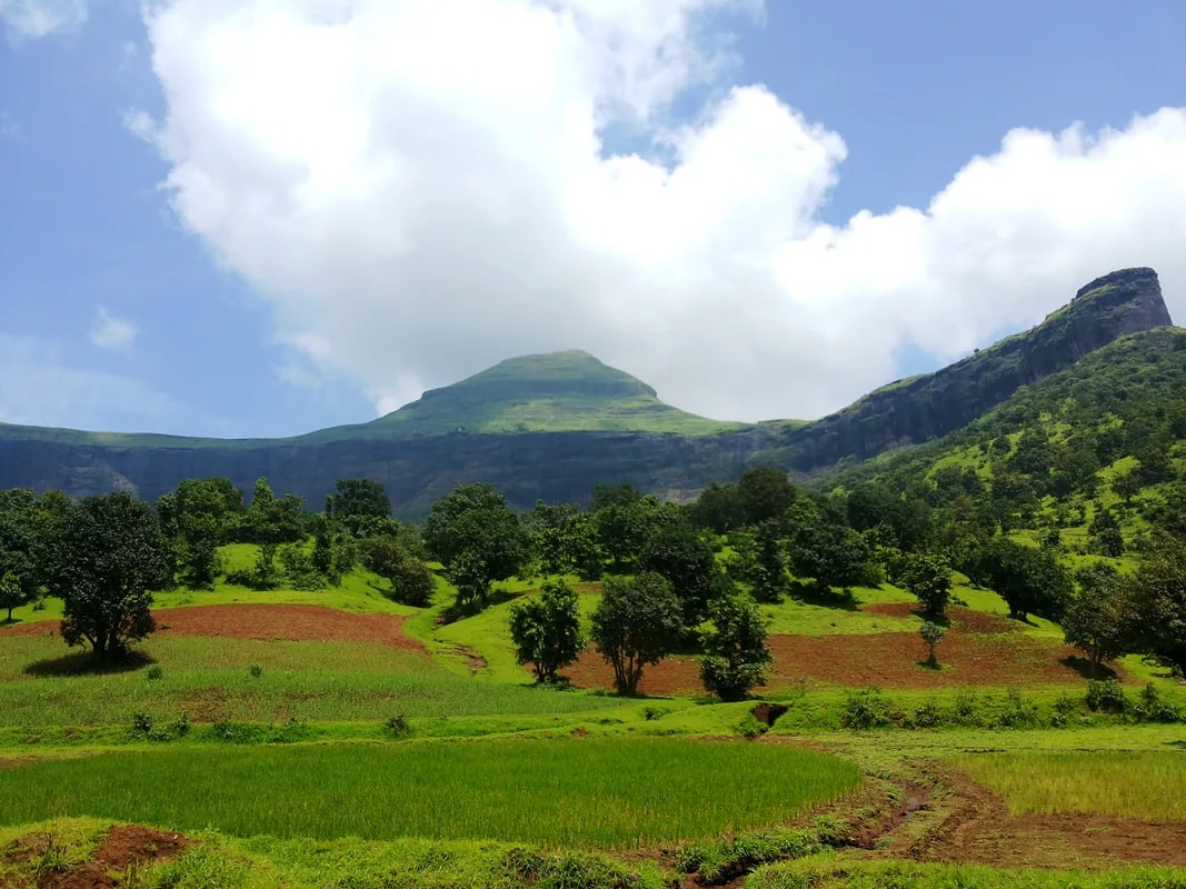 Brahmagiri Hills