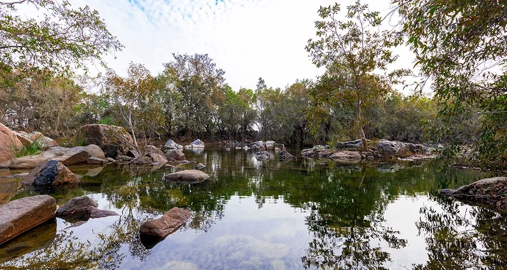 Orchha Wildlife Sanctuary