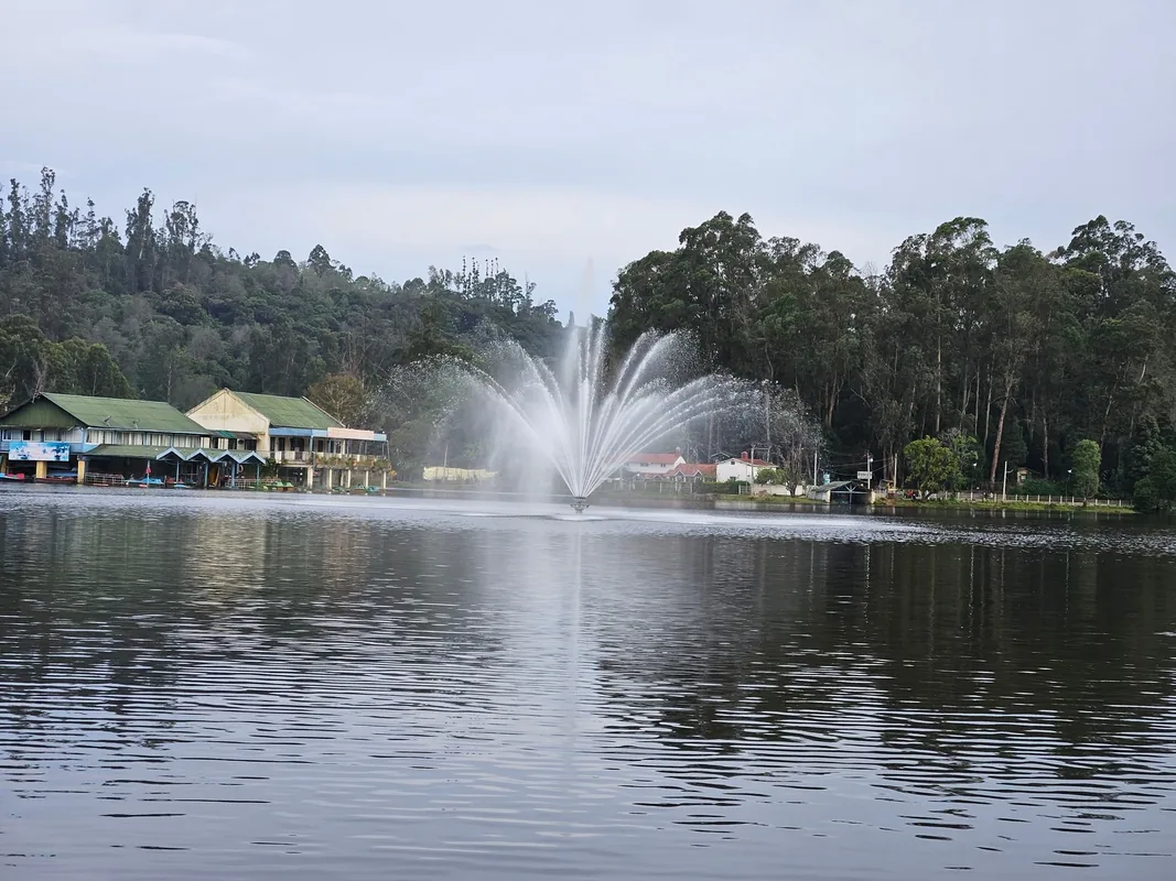 Upper Lake View Point