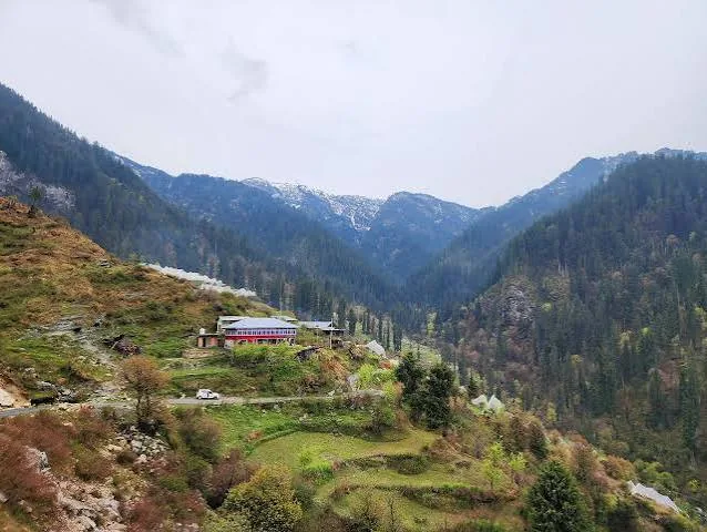 Shoja Meadow