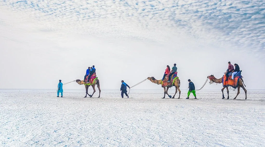 Great Rann of Kutch (White Rann)