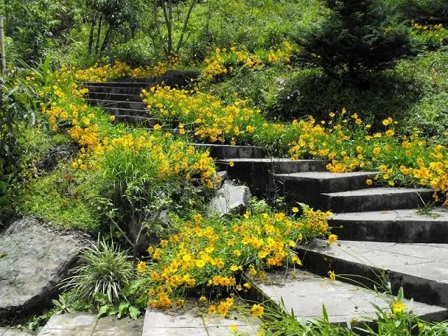 Namchi Rock Garden