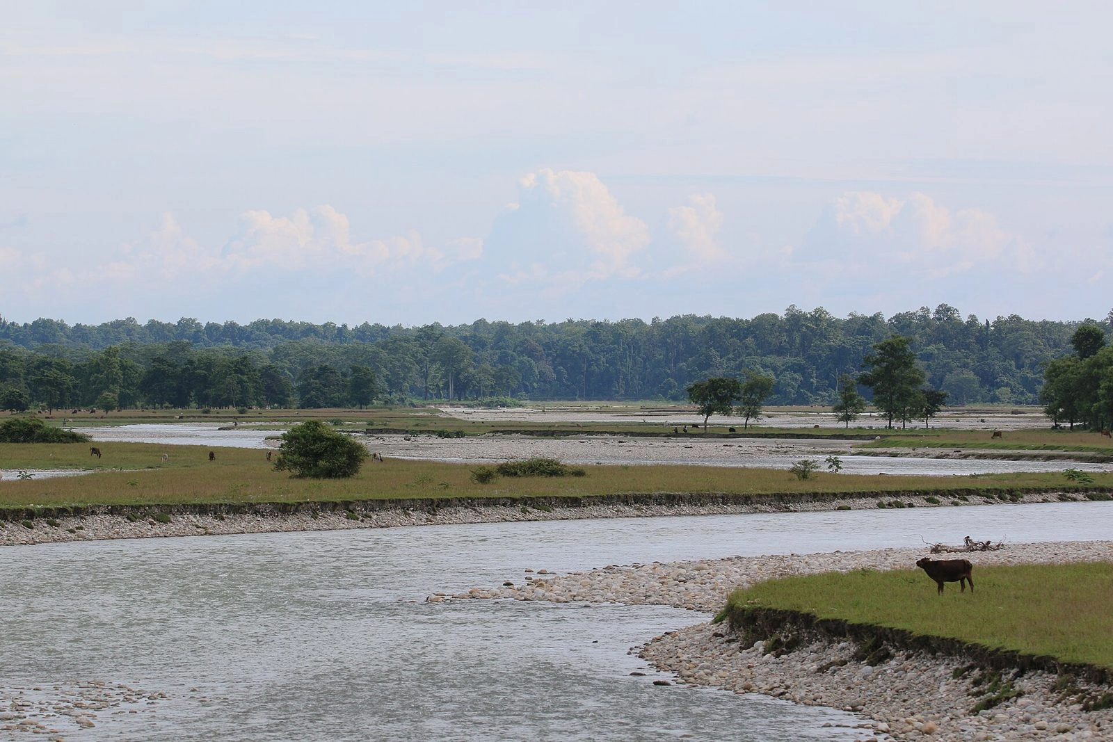 Gorumara National Park