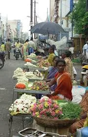 Mattuthavani Flower Market