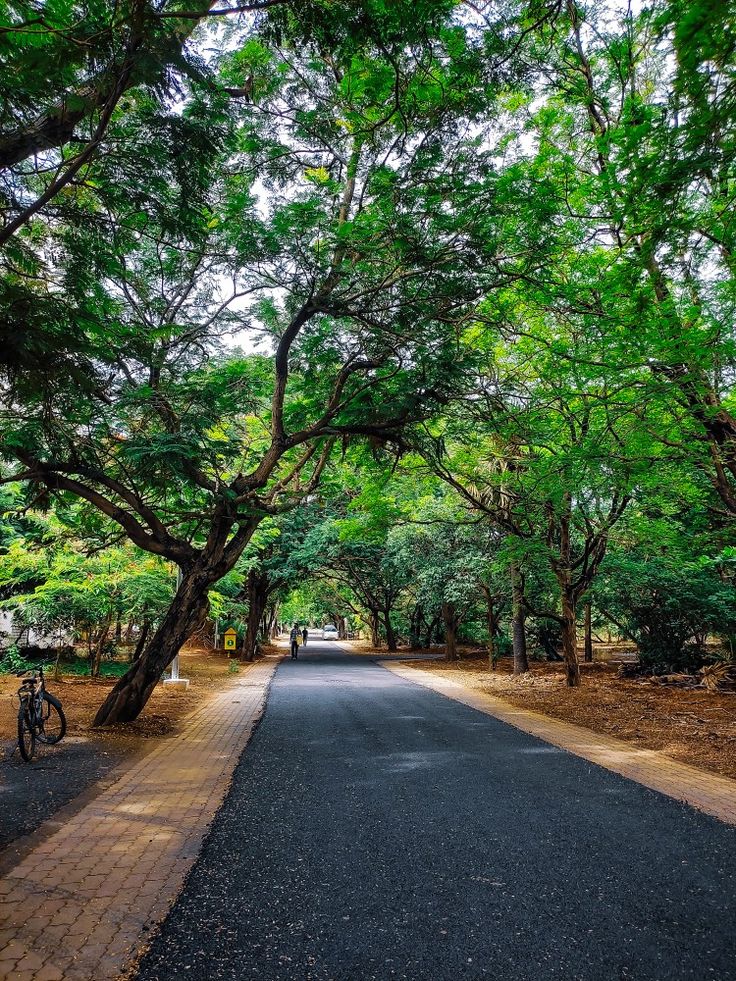 Guindy National Park