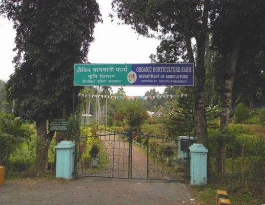 Sippighat Farm
