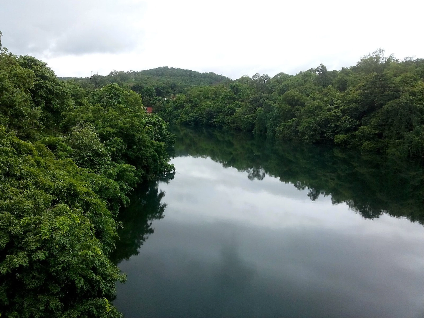 Dandeli