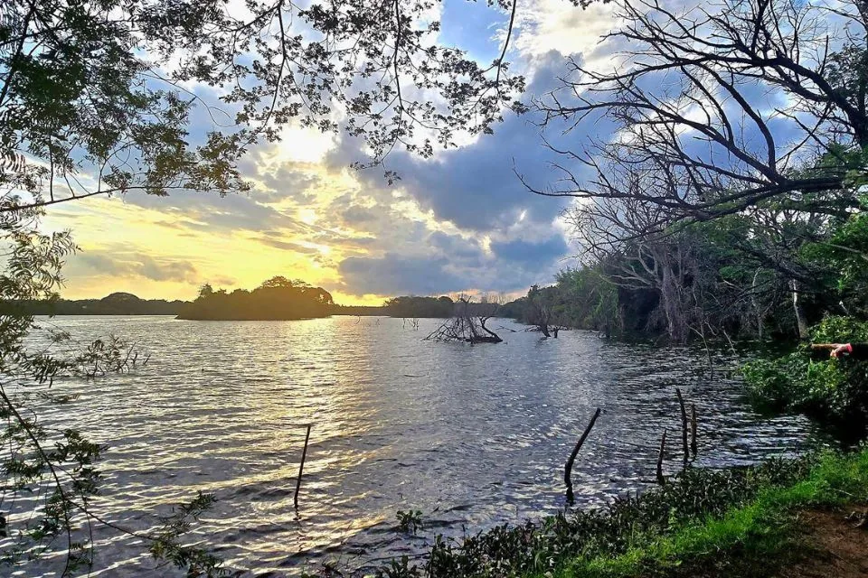 Lingambudhi Lake