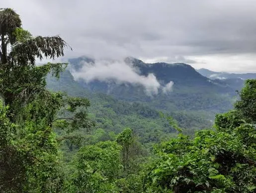 Mookambika Wildlife Sanctuary