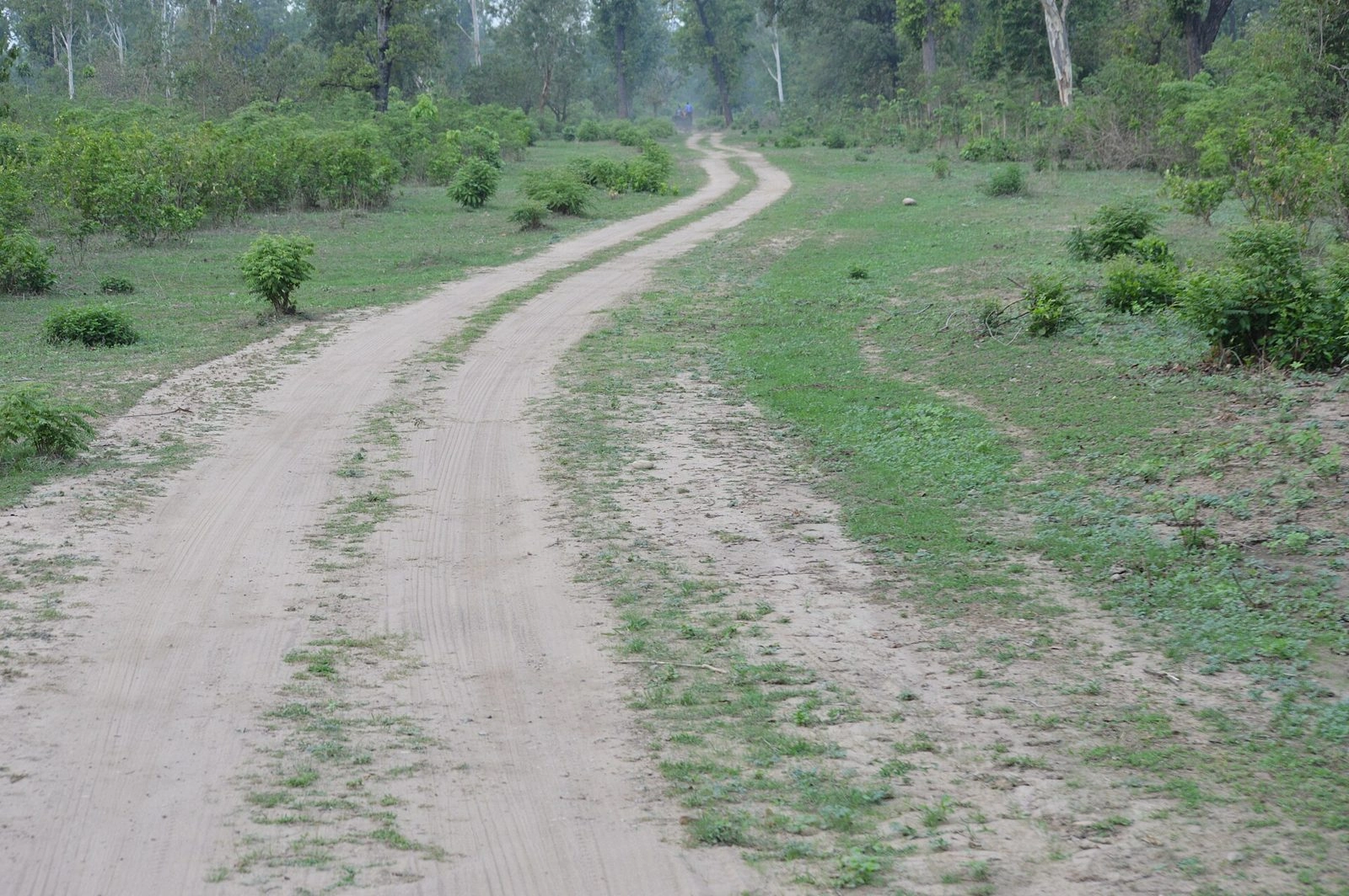Dhela Zone