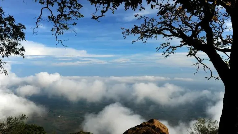Nelliyampathy Hills