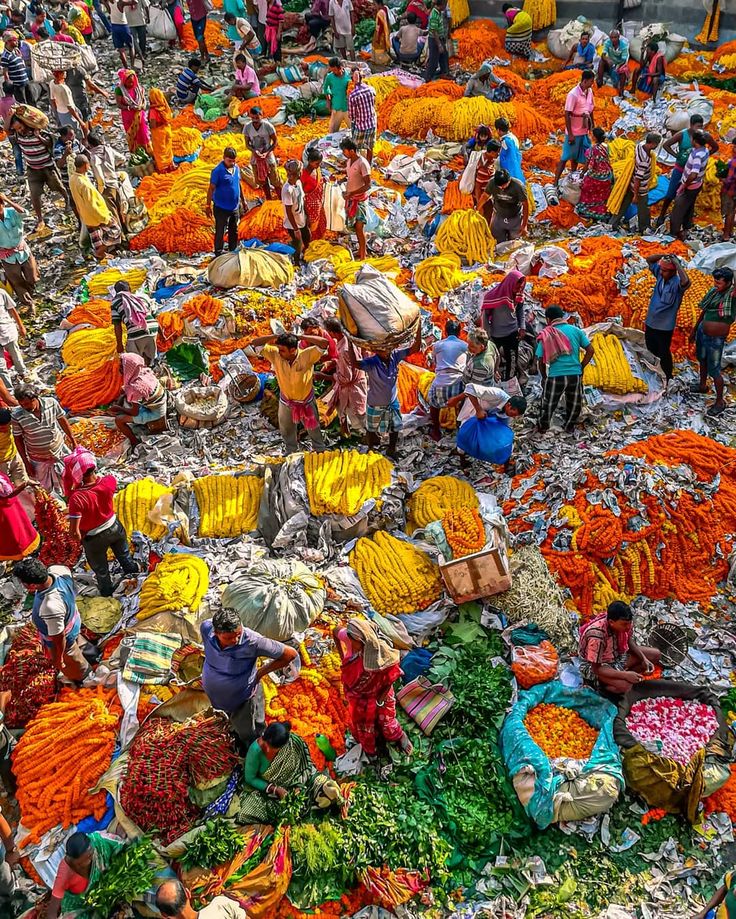 Mullick Ghat Flower Market