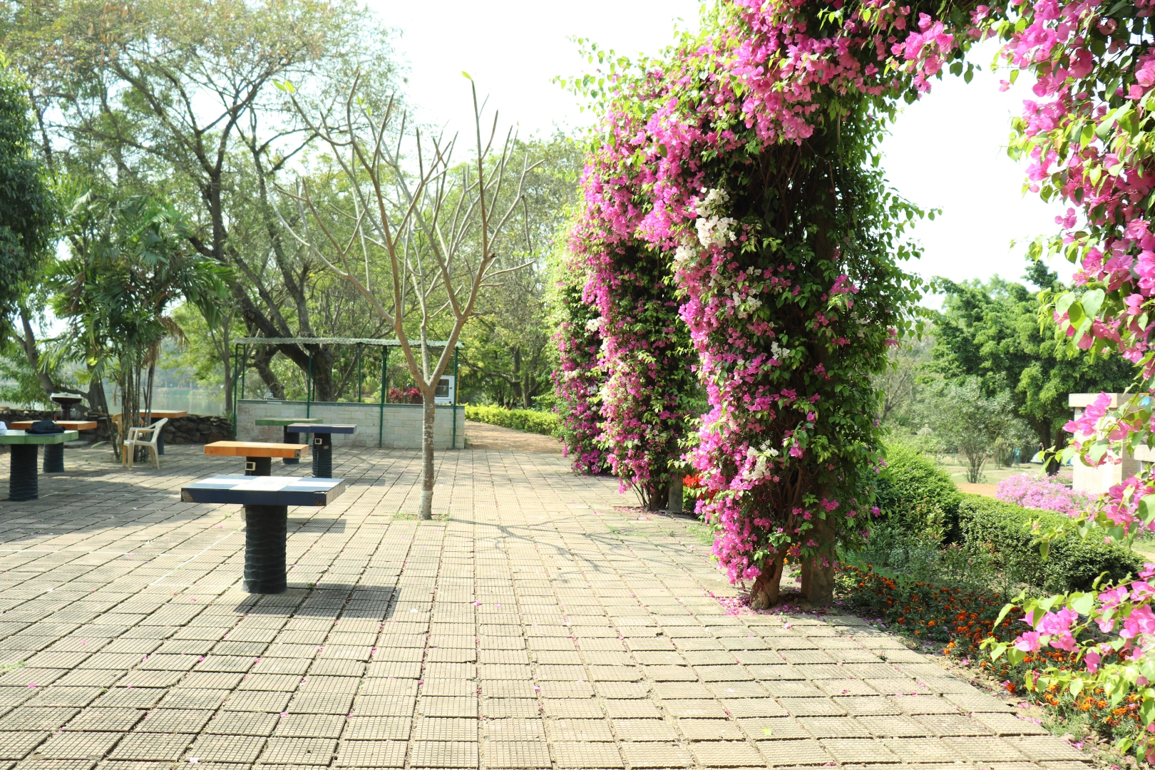 Shyor Bithi Park