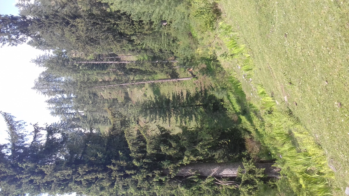 Great Himalayan National Park