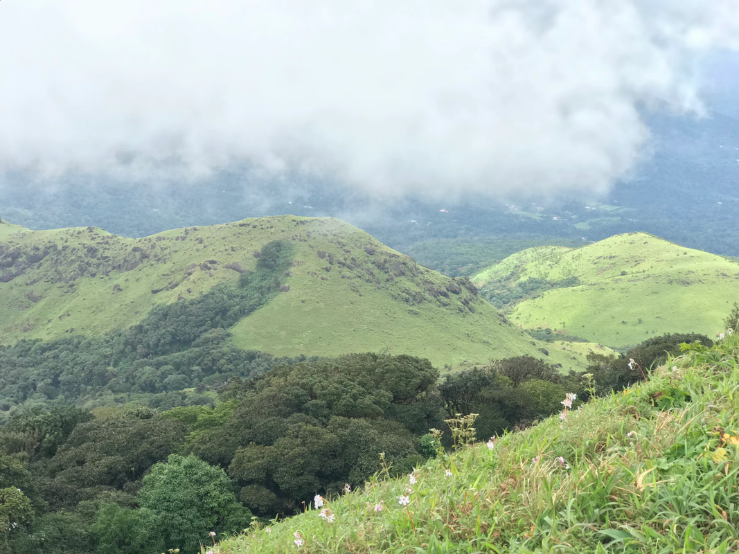 Tadiandamol Peak