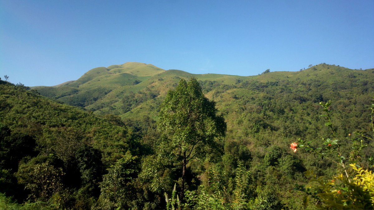 Mullodi