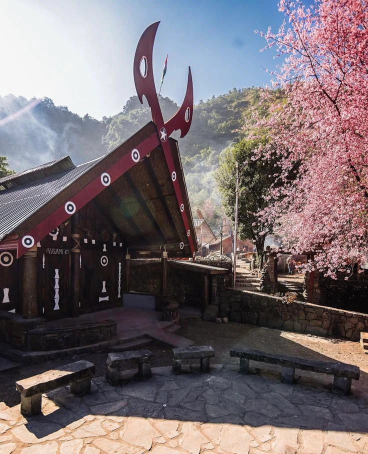 Nagaland