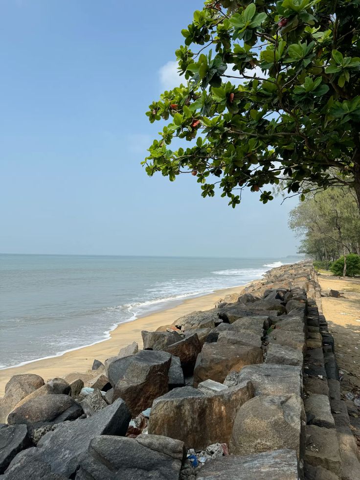 Cherai Beach
