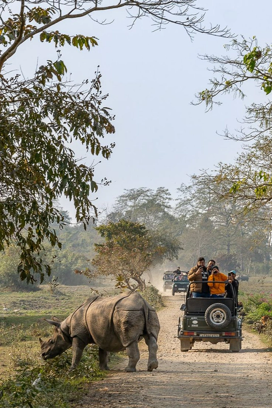 Kaziranga National Park