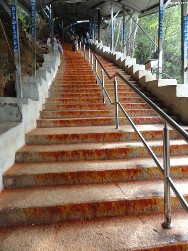 Srivari Mettu