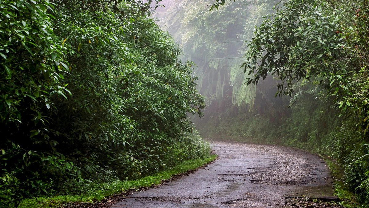 Neora Valley National Park