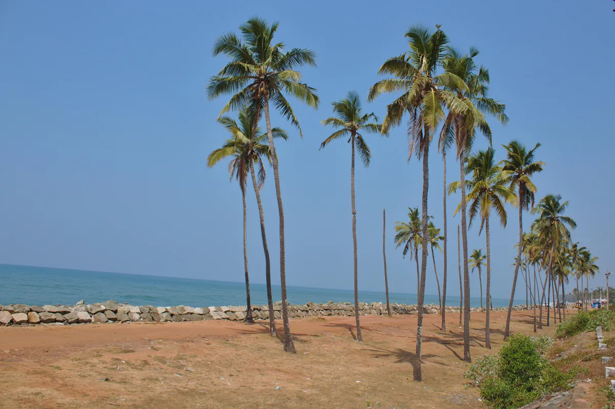 Kappil Beach